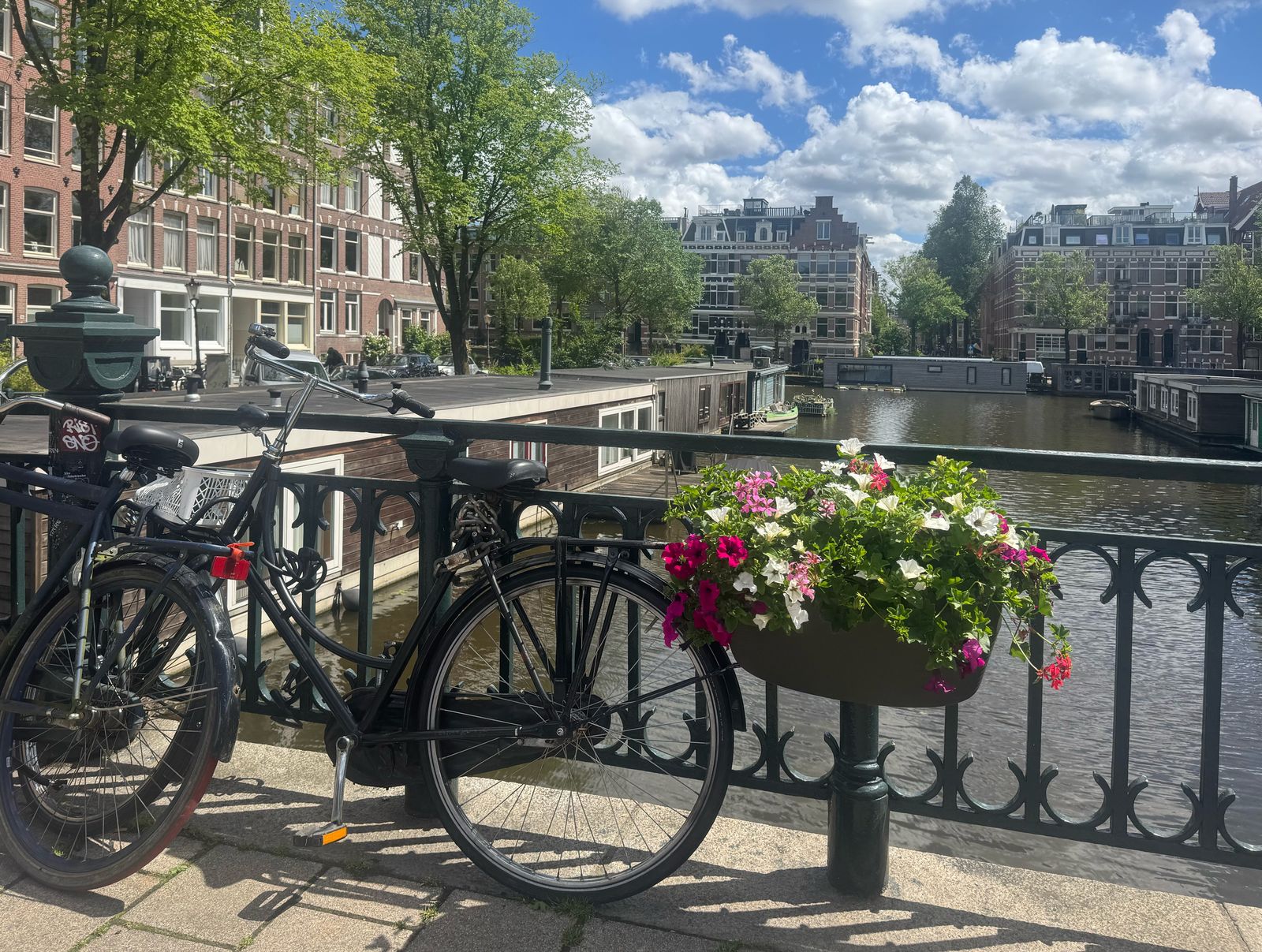 A bicycle and a planter of petunias on a Jordaan bridge railing, with houseboats and canal houses along the Prinsengracht