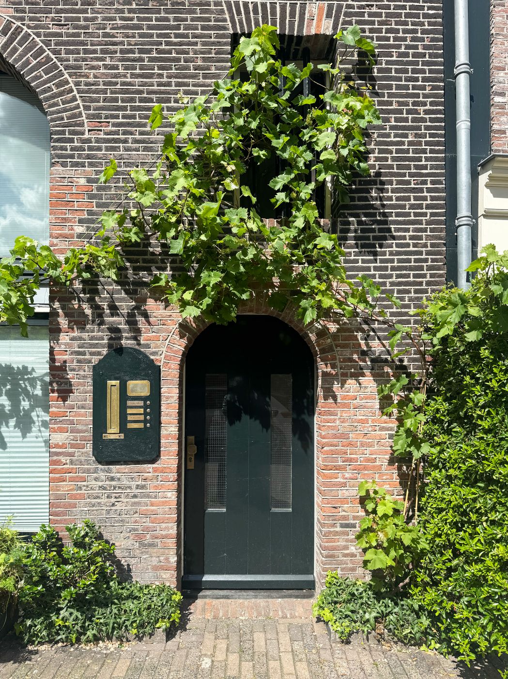 The arched dark green front door of Waal in a historic brick facade, framed by a climbing grapevine