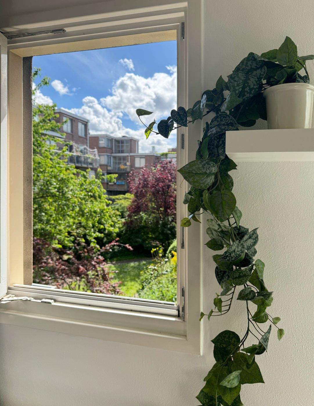 View from a window at Waal over a leafy shared garden and the brick houses of the Jordaan under a blue sky