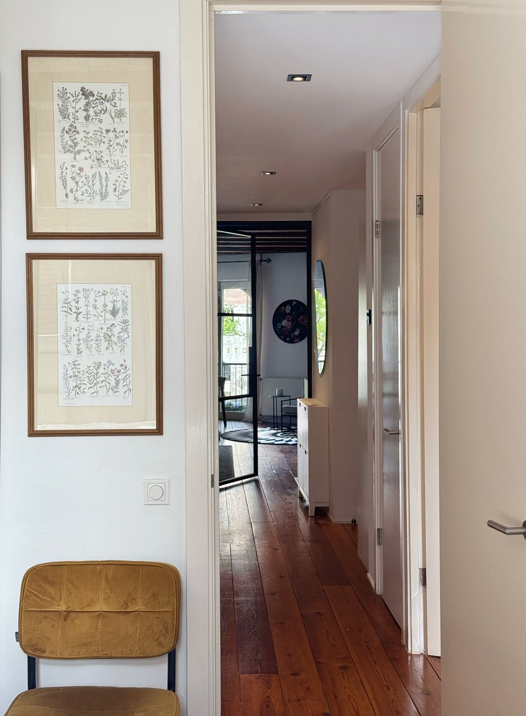The hallway at Waal with framed antique botanical prints and a mustard velvet chair, looking through to the living room