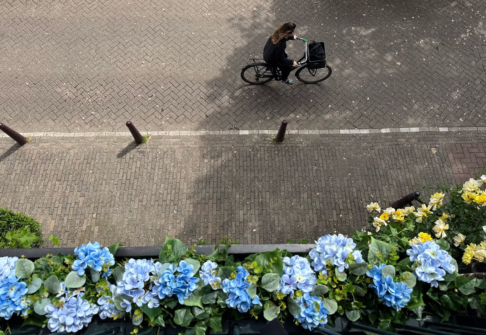Looking down from Waal's balcony onto a cyclist on the herringbone brick street, framed by blue hydrangeas